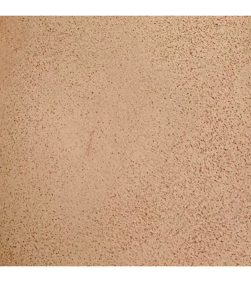 Sofodor rose N20