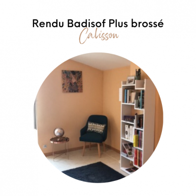 BADISOF PLUS CALISSON
