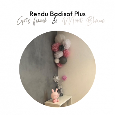 BADISOF PLUS GRIS FUMÉ