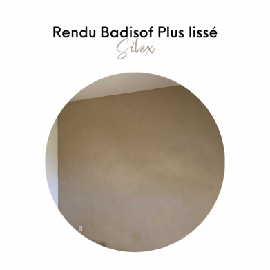 BADISOF PLUS SILEX