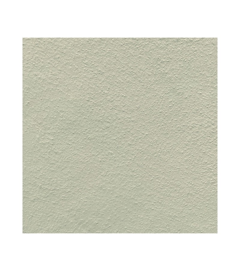 BADISOF PLUS VERT SAUGE