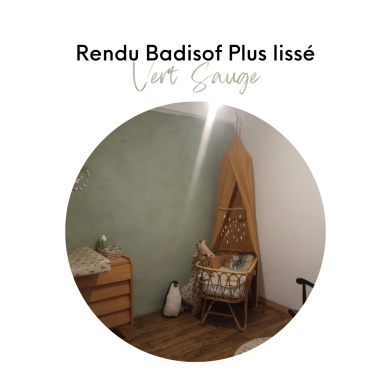 BADISOF PLUS VERT SAUGE