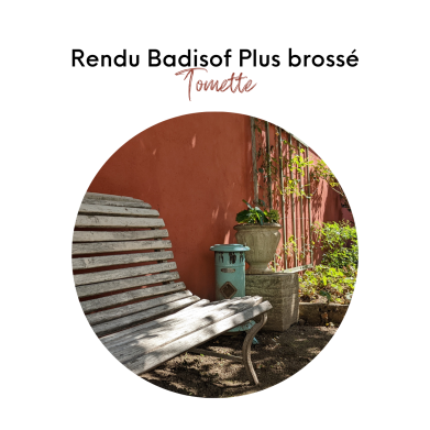 BADISOF PLUS TOMETTE