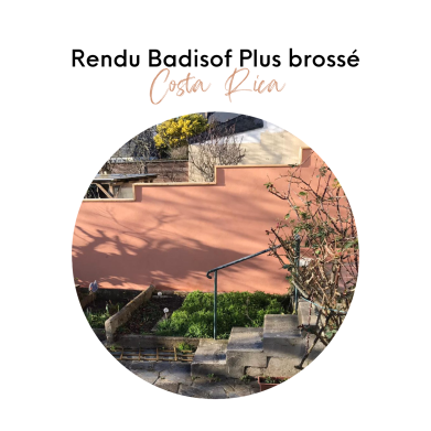 BADISOF PLUS COSTA RICA