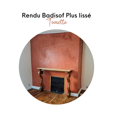 BADISOF PLUS TOMETTE
